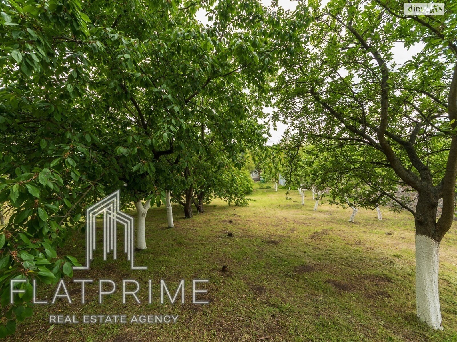двоповерховий будинок з гаражем, 241.5 кв. м, цегла. Продаж в Василькові, район Васильків фото 1 двоповерховий будинок з гаражем, 241.5 кв. м, цегла. Продаж в Василькові, район Васильків фото 1