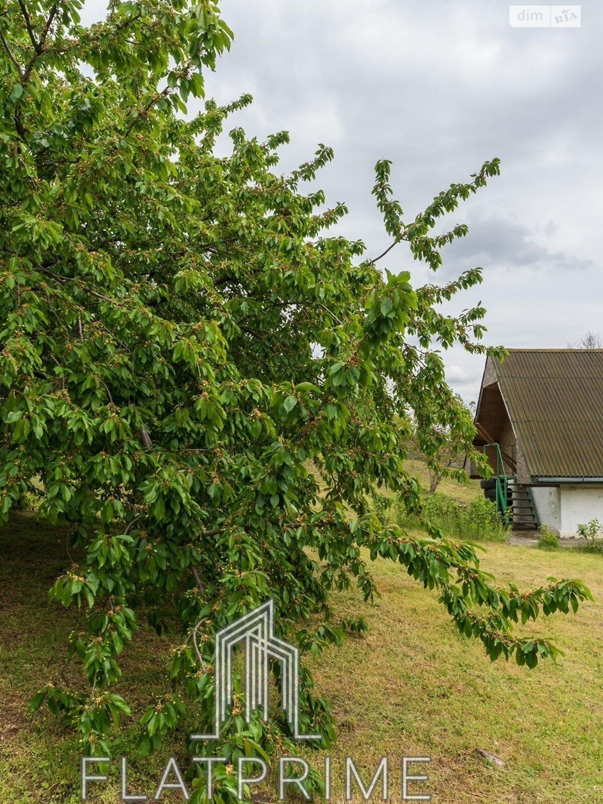 двоповерховий будинок з гаражем, 241.5 кв. м, цегла. Продаж в Василькові, район Васильків фото 1 двоповерховий будинок з гаражем, 241.5 кв. м, цегла. Продаж в Василькові, район Васильків фото 1