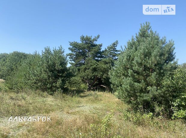 одноповерховий будинок, 85 кв. м, кирпич. Продаж в Василькові, район Васильків фото 1 одноповерховий будинок, 85 кв. м, кирпич. Продаж в Василькові, район Васильків фото 1