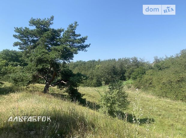 одноповерховий будинок, 85 кв. м, кирпич. Продаж в Василькові, район Васильків фото 1 одноповерховий будинок, 85 кв. м, кирпич. Продаж в Василькові, район Васильків фото 1