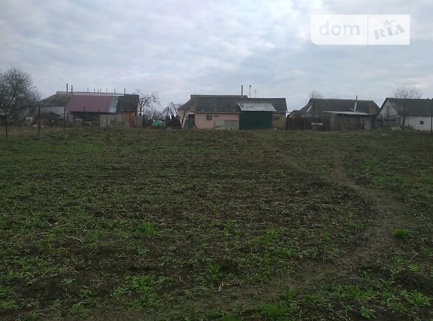 одноповерховий будинок з садом, 110 кв. м, цегла. Продаж в Василькові, район Васильків фото 1 одноповерховий будинок з садом, 110 кв. м, цегла. Продаж в Василькові, район Васильків фото 1