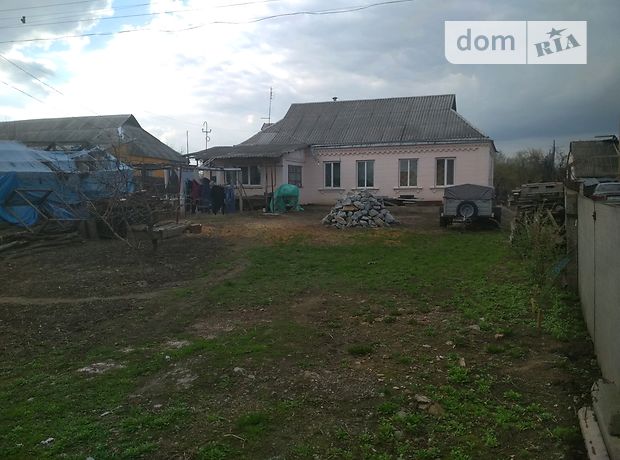 одноповерховий будинок з садом, 110 кв. м, цегла. Продаж в Василькові, район Васильків фото 1 одноповерховий будинок з садом, 110 кв. м, цегла. Продаж в Василькові, район Васильків фото 1