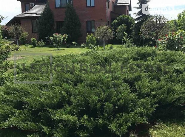 двоповерховий будинок з каміном, 503 кв. м, кирпич. Продаж в Василькові, район Васильків фото 1 двоповерховий будинок з каміном, 503 кв. м, кирпич. Продаж в Василькові, район Васильків фото 1