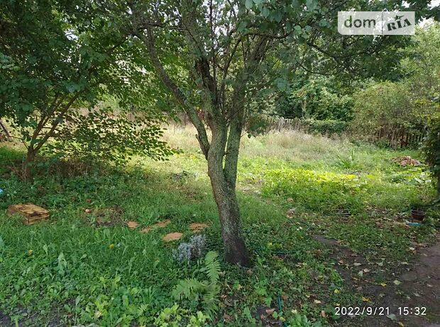 одноповерховий будинок з верандою, 85.7 кв. м, дерево та цегла. Продаж в Василькові, район Васильків фото 1 одноповерховий будинок з верандою, 85.7 кв. м, дерево та цегла. Продаж в Василькові, район Васильків фото 1