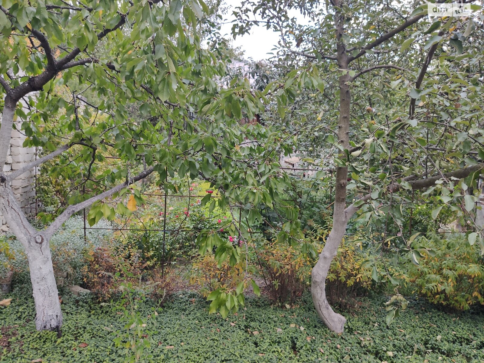 одноповерховий будинок з гаражем, 100.7 кв. м, цегла. Продаж у Васищеве фото 1 одноповерховий будинок з гаражем, 100.7 кв. м, цегла. Продаж у Васищеве фото 1