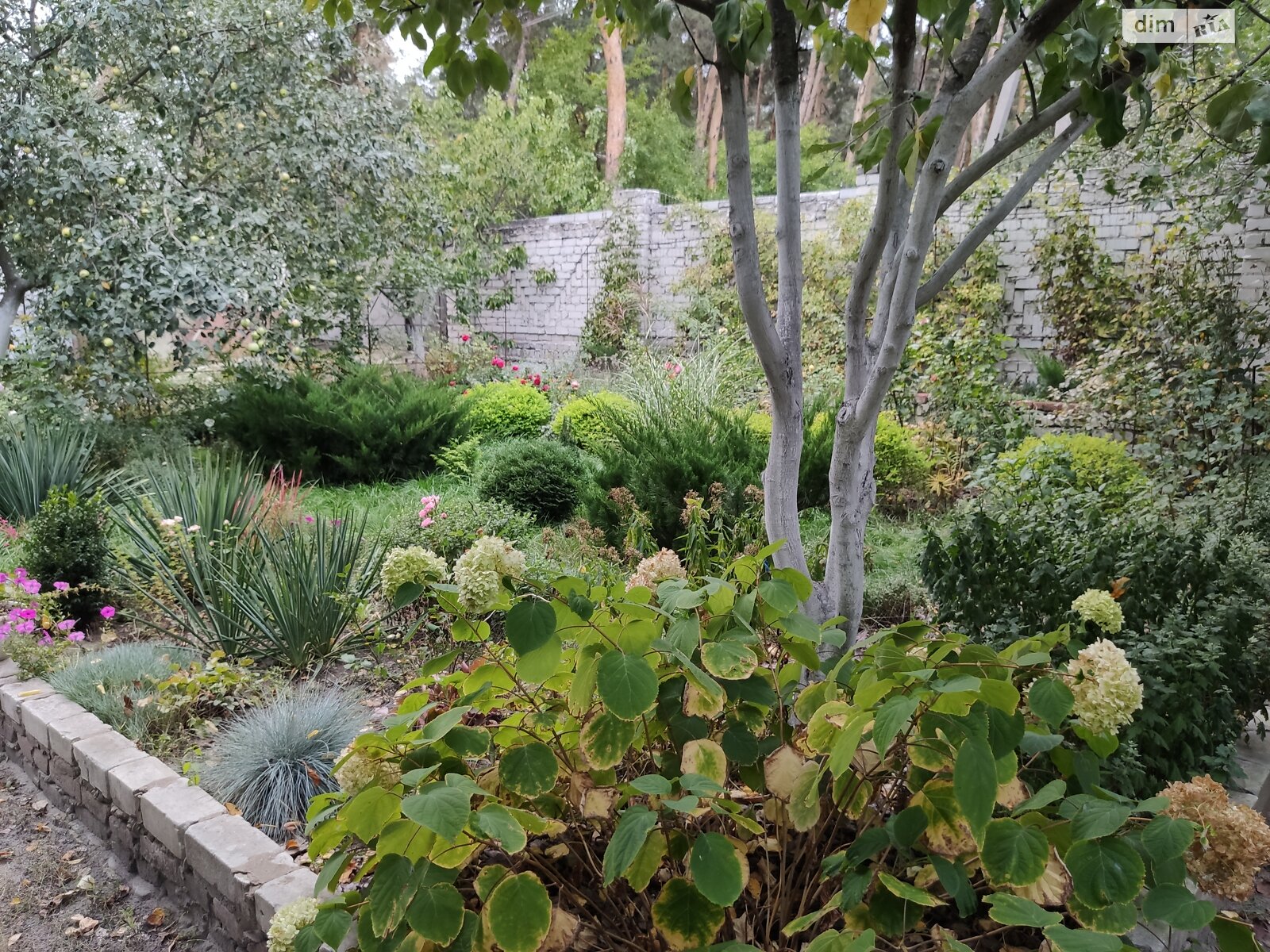 одноповерховий будинок з гаражем, 100.7 кв. м, цегла. Продаж у Васищеве фото 1 одноповерховий будинок з гаражем, 100.7 кв. м, цегла. Продаж у Васищеве фото 1