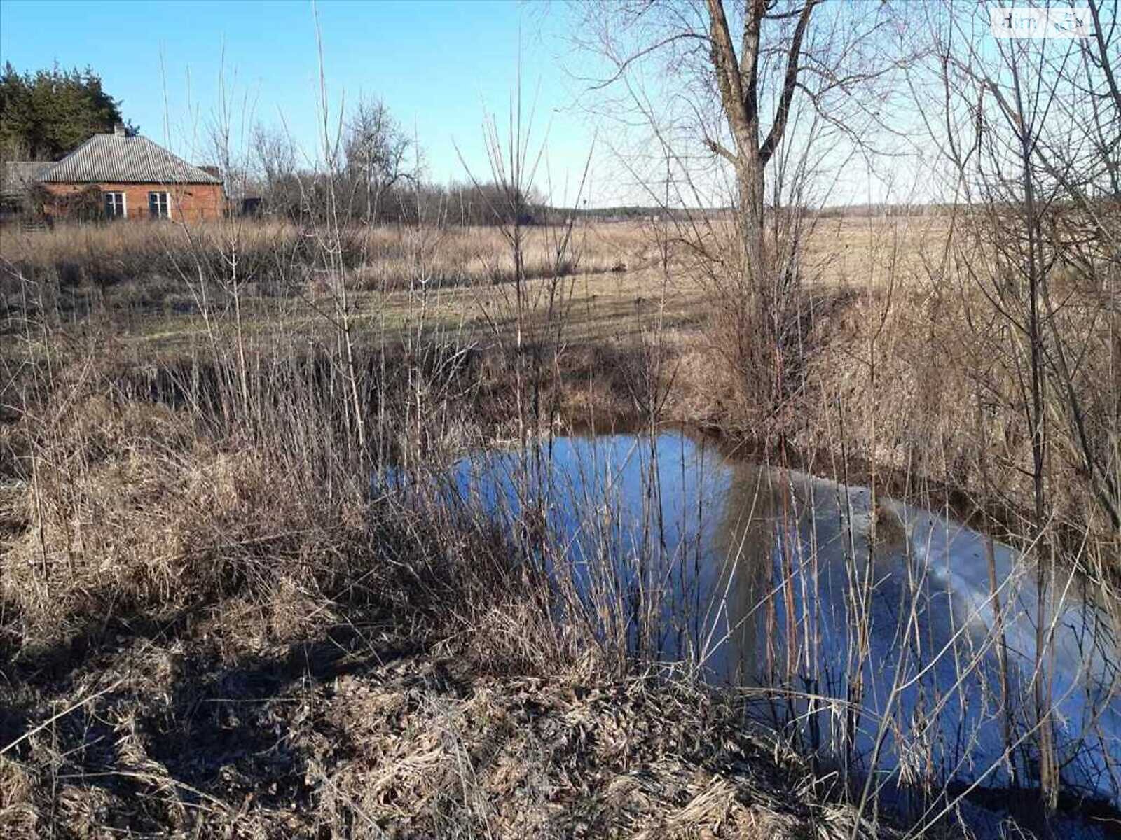 одноповерховий будинок, 51.6 кв. м, цегла саманна. Продаж у Ватажкове фото 1 одноповерховий будинок, 51.6 кв. м, цегла саманна. Продаж у Ватажкове фото 1