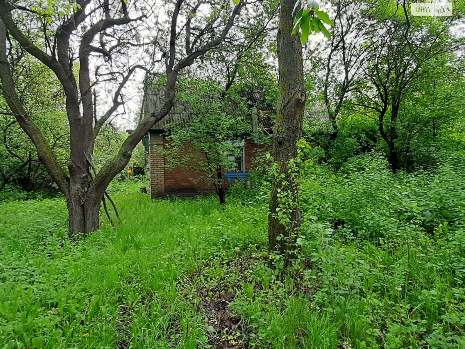 одноповерховий будинок з опаленням, 44 кв. м, цегла. Продаж у Ведмедівці фото 1 одноповерховий будинок з опаленням, 44 кв. м, цегла. Продаж у Ведмедівці фото 1