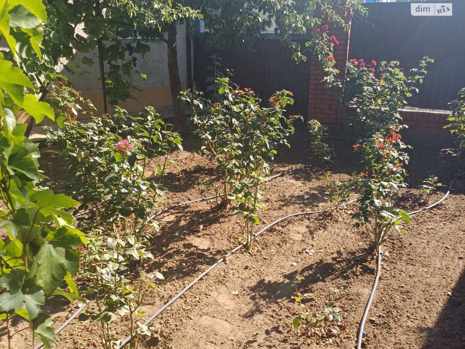 одноэтажный дом с верандой, 74.5 кв. м, кирпич. Продажа в Великой Александровке район Великая Александровка фото 1 одноэтажный дом с верандой, 74.5 кв. м, кирпич. Продажа в Великой Александровке район Великая Александровка фото 1