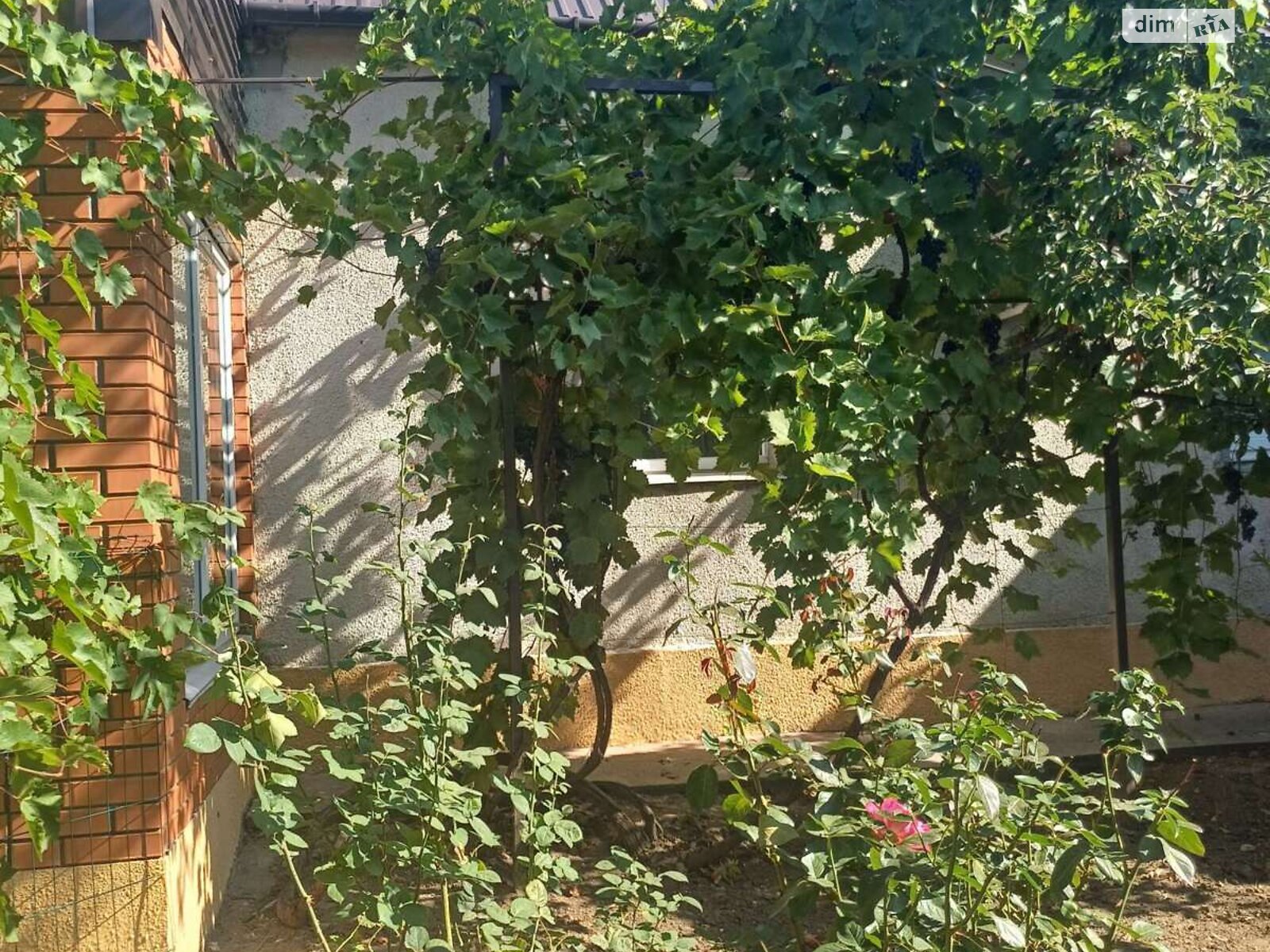 одноэтажный дом с верандой, 74.5 кв. м, кирпич. Продажа в Великой Александровке район Великая Александровка фото 1 одноэтажный дом с верандой, 74.5 кв. м, кирпич. Продажа в Великой Александровке район Великая Александровка фото 1