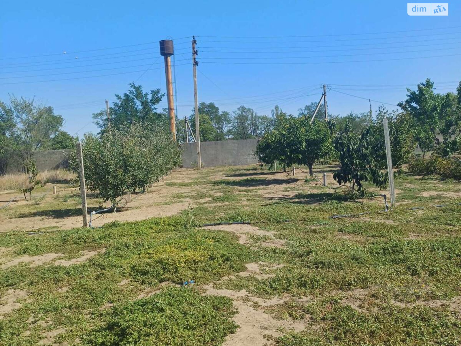 одноэтажный дом с верандой, 74.5 кв. м, кирпич. Продажа в Великой Александровке район Великая Александровка фото 1 одноэтажный дом с верандой, 74.5 кв. м, кирпич. Продажа в Великой Александровке район Великая Александровка фото 1