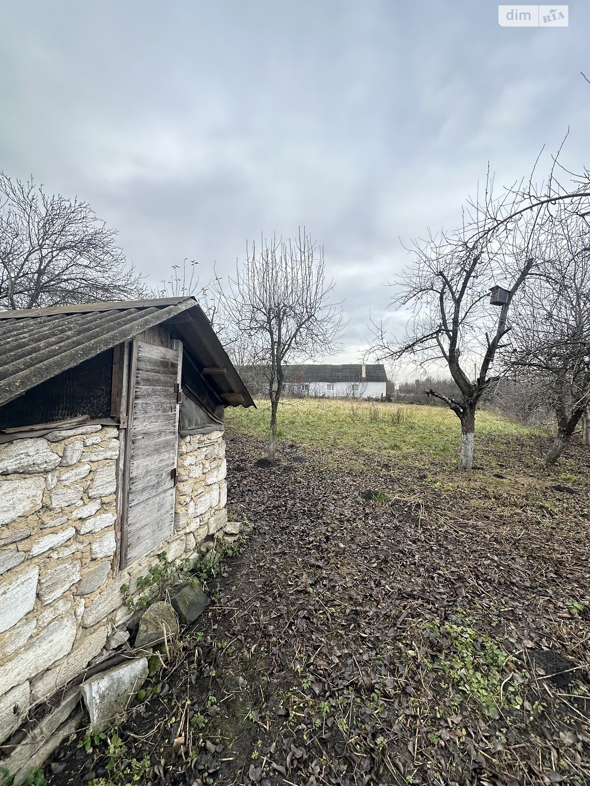 одноповерховий будинок з опаленням, 56 кв. м, цегла. Продаж у Великій Березовиці фото 1