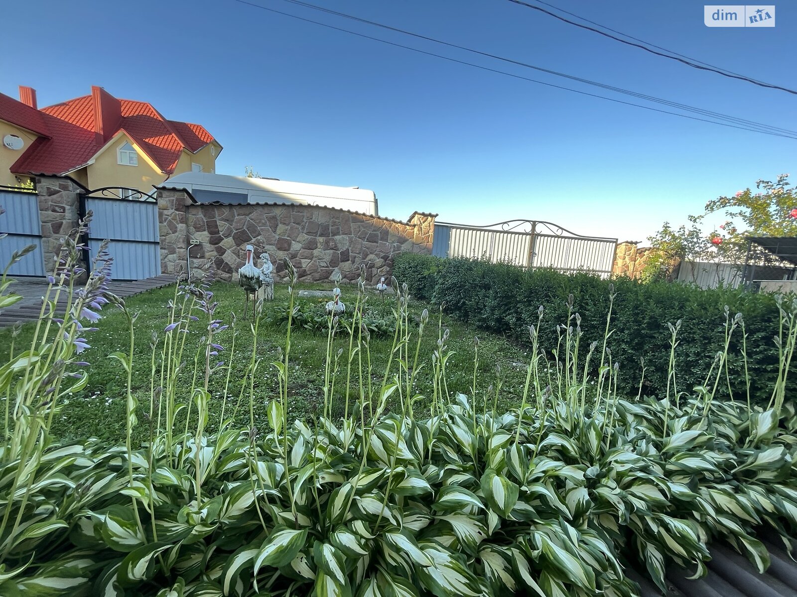 двоповерховий будинок з ремонтом, 171 кв. м, цегла. Продаж у Великій Березовиці фото 1 двоповерховий будинок з ремонтом, 171 кв. м, цегла. Продаж у Великій Березовиці фото 1