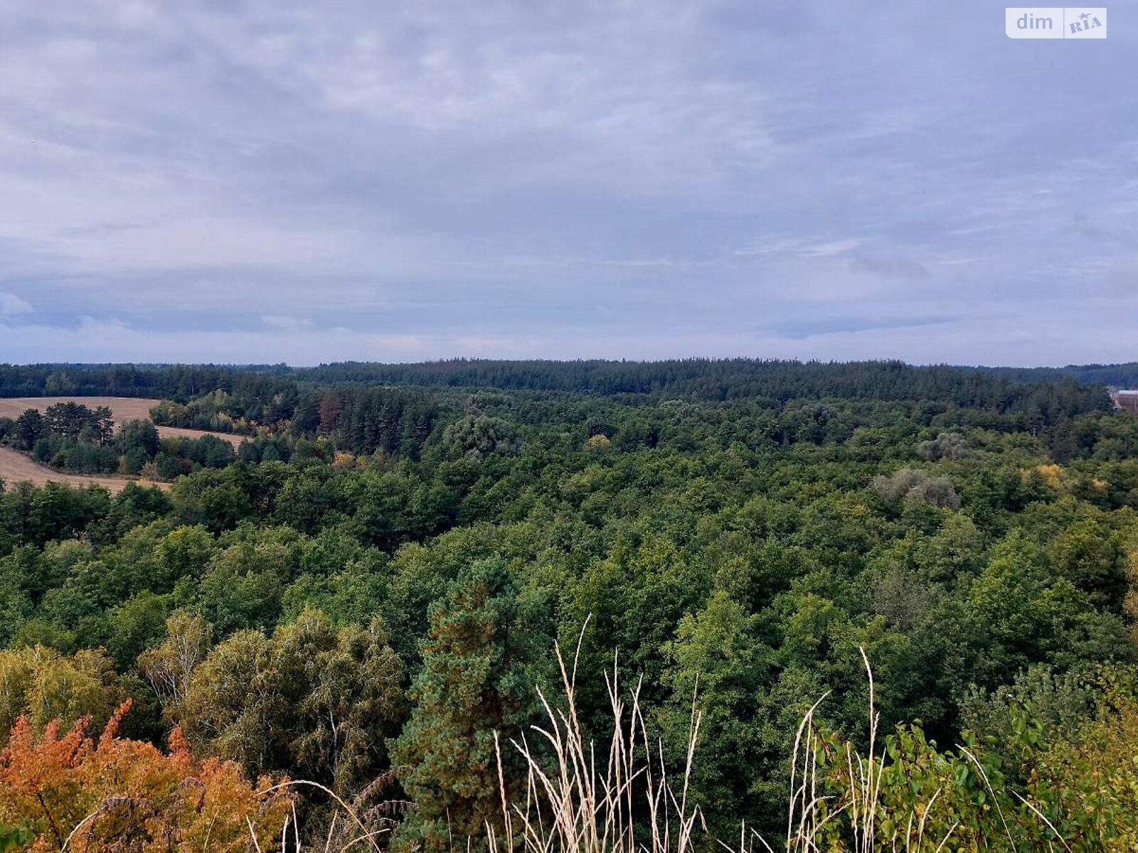 одноповерховий будинок з гаражем, 92 кв. м, моноліт. Продаж у Великій Бугаївці фото 1 одноповерховий будинок з гаражем, 92 кв. м, моноліт. Продаж у Великій Бугаївці фото 1