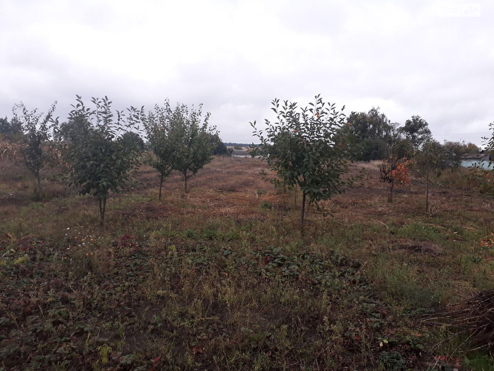 одноповерховий будинок, 104.2 кв. м, цегла. Продаж у Великій Чернеччині фото 1 одноповерховий будинок, 104.2 кв. м, цегла. Продаж у Великій Чернеччині фото 1