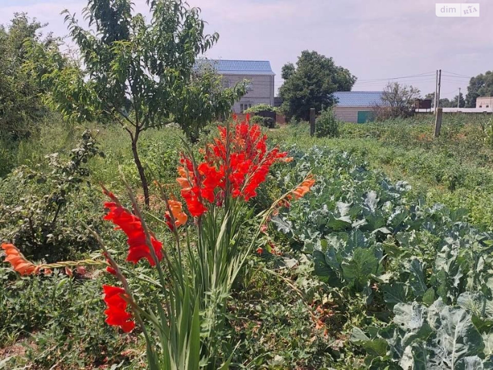 триповерховий будинок з верандою, 197 кв. м, керамзітобетон. Продаж у Великій Димерці фото 1