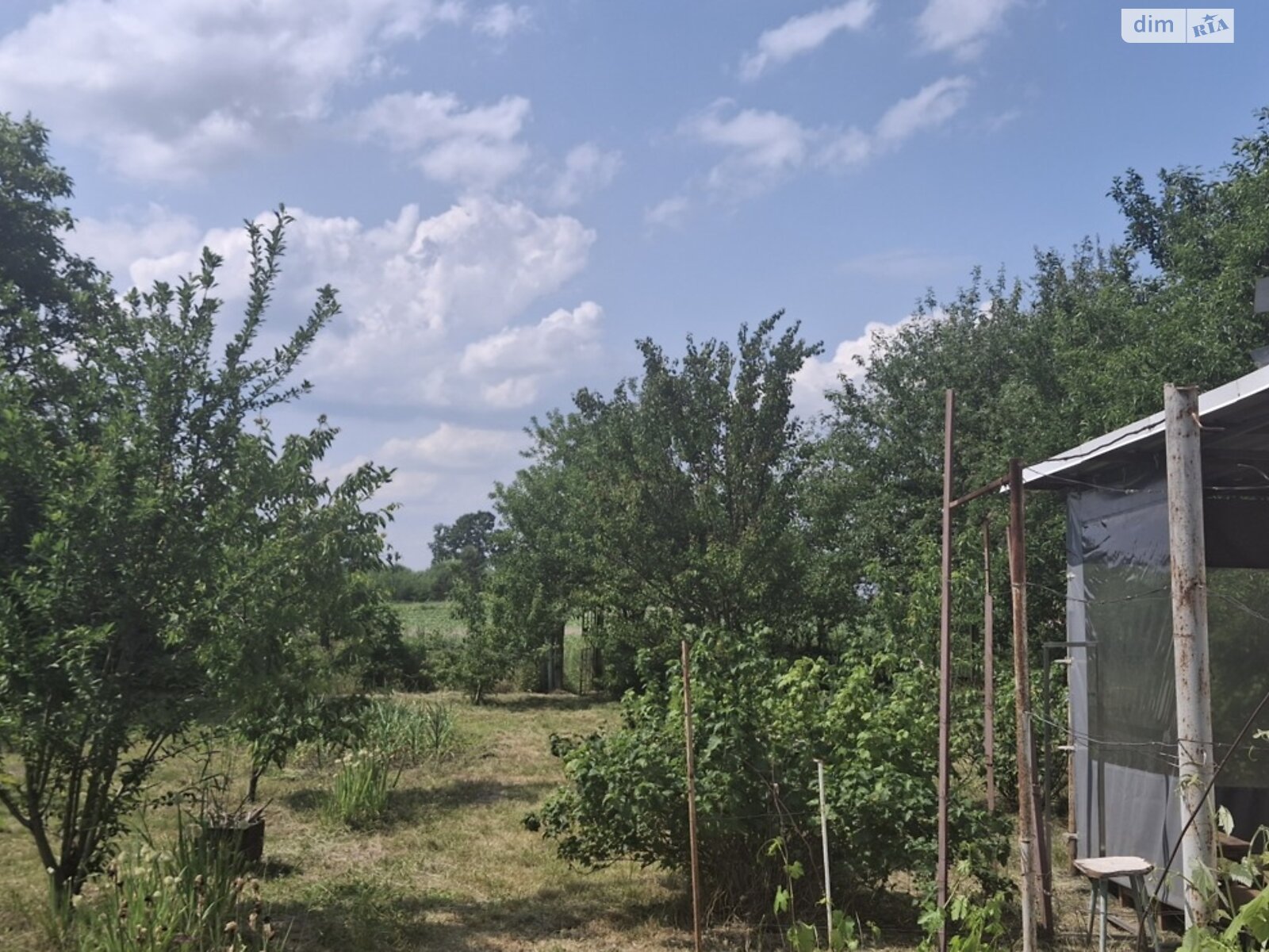 двоповерховий будинок з опаленням, 40 кв. м, цегла. Продаж у Великій Офірні фото 1 двоповерховий будинок з опаленням, 40 кв. м, цегла. Продаж у Великій Офірні фото 1