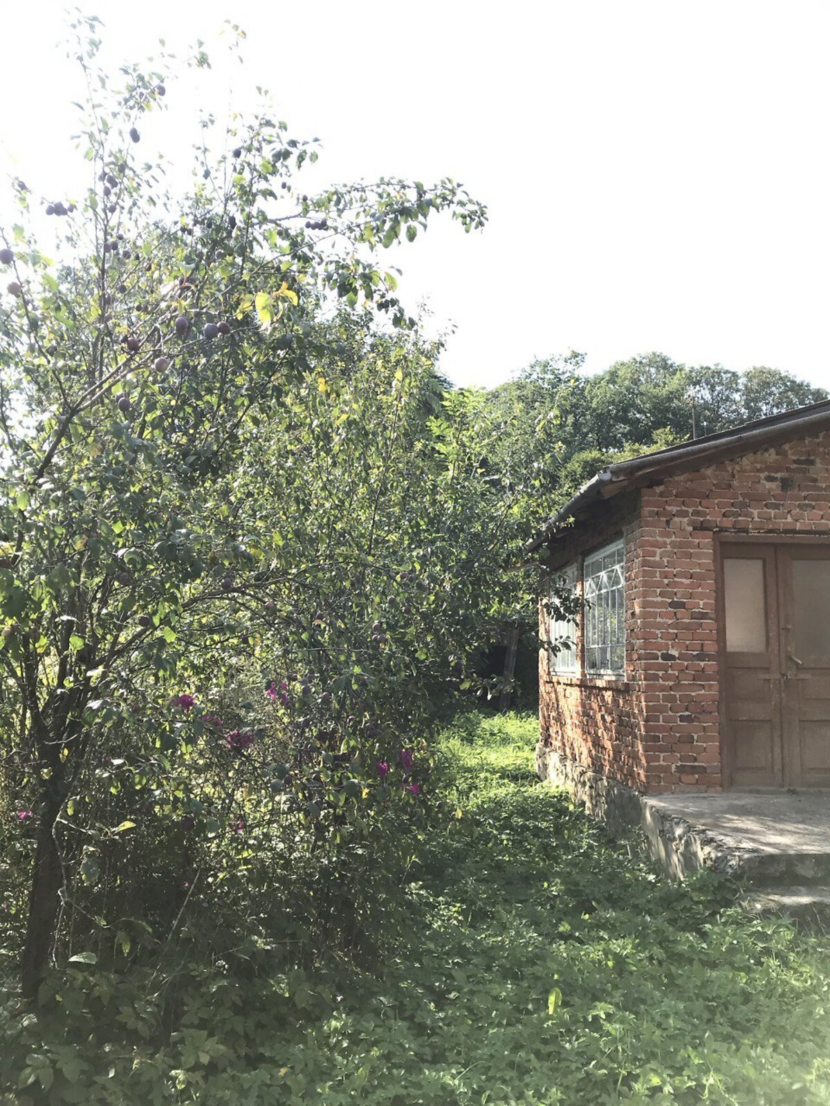 одноповерховий будинок, 50 кв. м, цегла. Продаж у Великій Плавучій фото 1 одноповерховий будинок, 50 кв. м, цегла. Продаж у Великій Плавучій фото 1