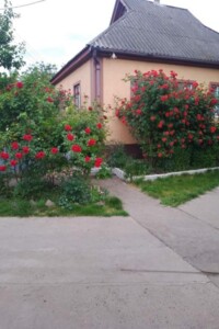 одноповерховий будинок з гаражем, 105 кв. м, цегла. Продаж у Великій Яблунівці фото 2