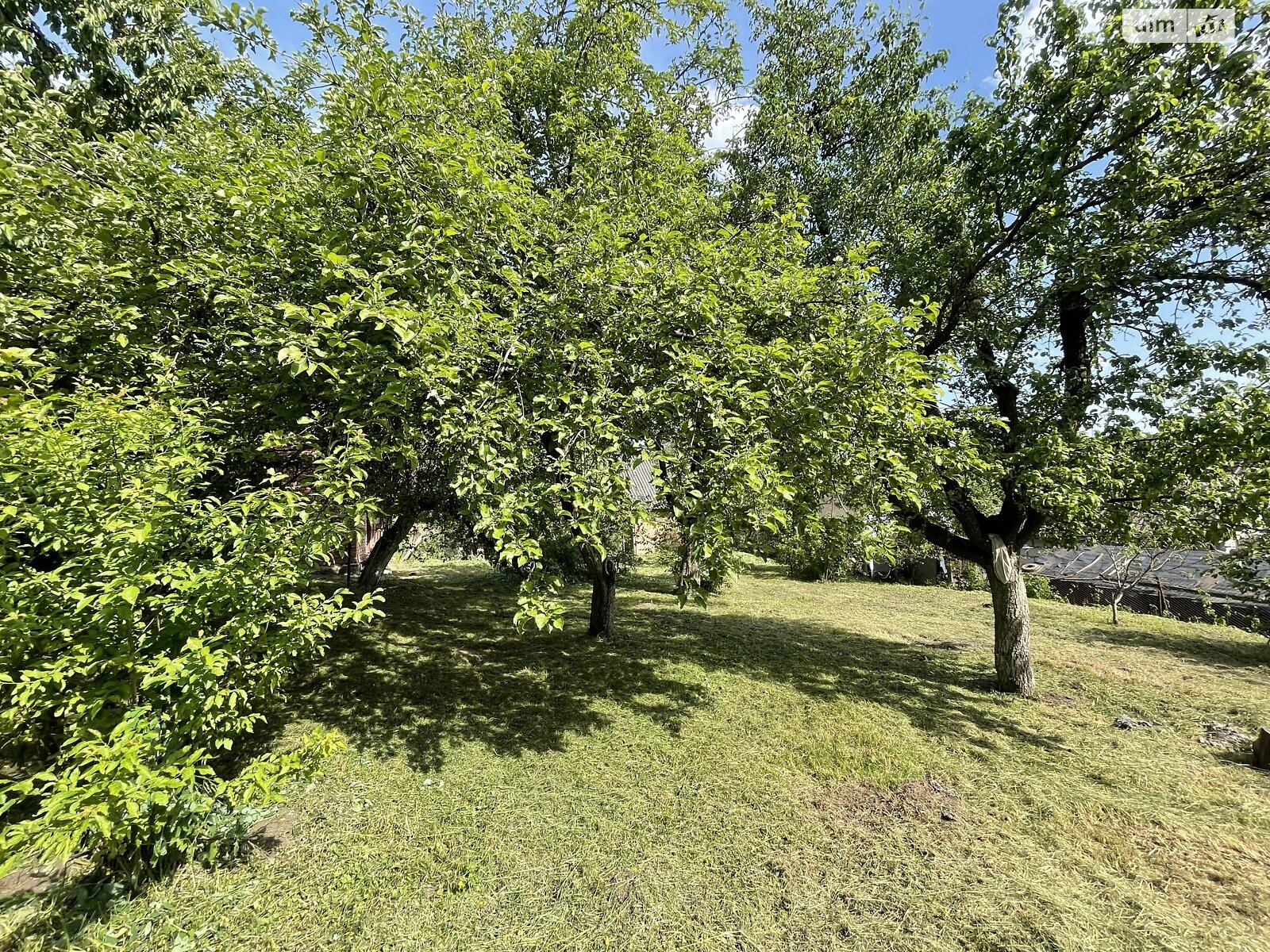 одноэтажный дом с верандой, 243.1 кв. м, кирпич. Продажа в Великих Гаях фото 1 одноэтажный дом с верандой, 243.1 кв. м, кирпич. Продажа в Великих Гаях фото 1