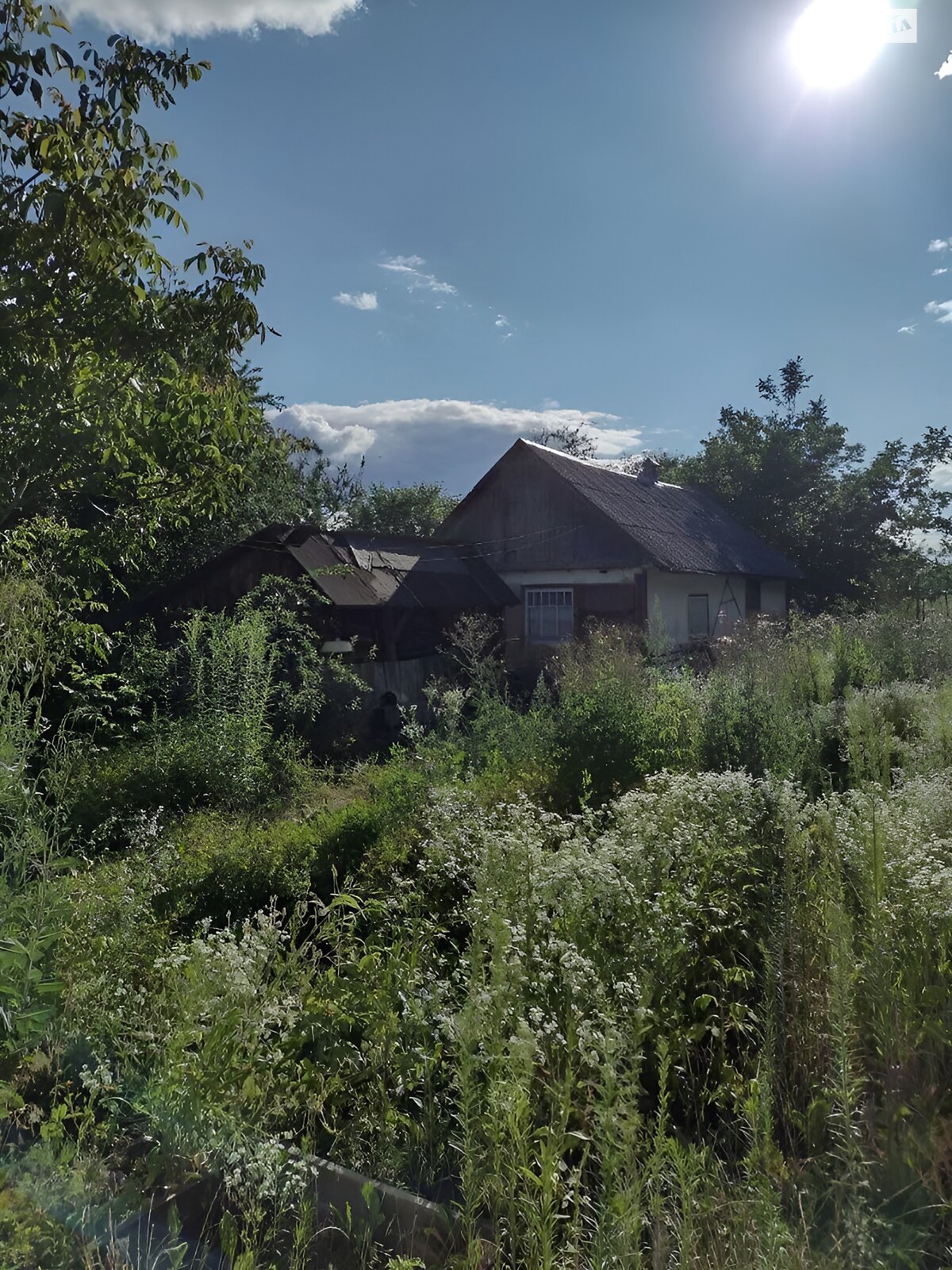 одноэтажный дом, 81.3 кв. м, сруб. Продажа в Великих Гуляках фото 1 одноэтажный дом, 81.3 кв. м, сруб. Продажа в Великих Гуляках фото 1