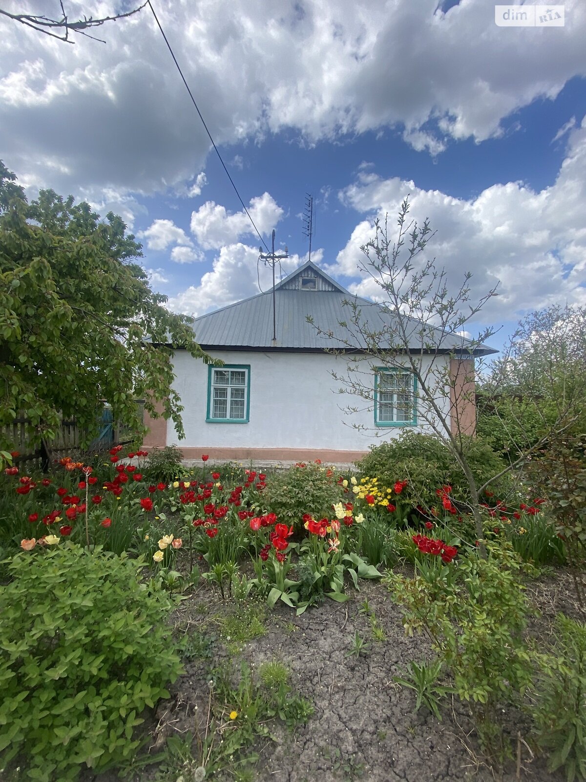 одноэтажный дом с отоплением, 82.9 кв. м, дерево и кирпич. Продажа в Великих Коровинцев фото 1 одноэтажный дом с отоплением, 82.9 кв. м, дерево и кирпич. Продажа в Великих Коровинцев фото 1