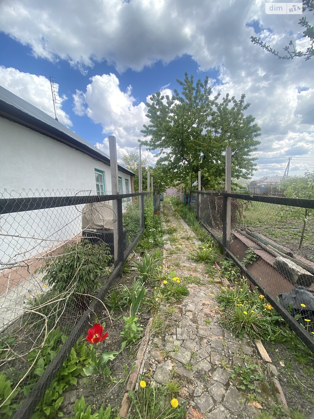 одноэтажный дом с отоплением, 82.9 кв. м, дерево и кирпич. Продажа в Великих Коровинцев фото 1 одноэтажный дом с отоплением, 82.9 кв. м, дерево и кирпич. Продажа в Великих Коровинцев фото 1