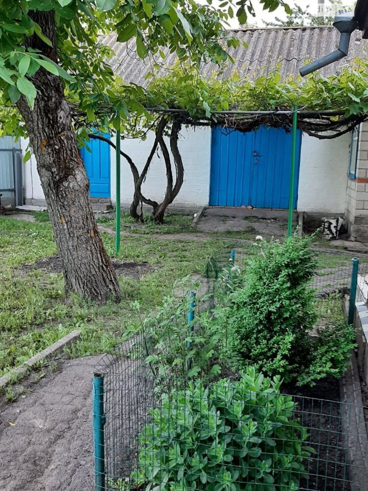 одноэтажный дом с верандой, 61.1 кв. м, кирпич. Продажа в Великих Сорочинцах фото 1 одноэтажный дом с верандой, 61.1 кв. м, кирпич. Продажа в Великих Сорочинцах фото 1