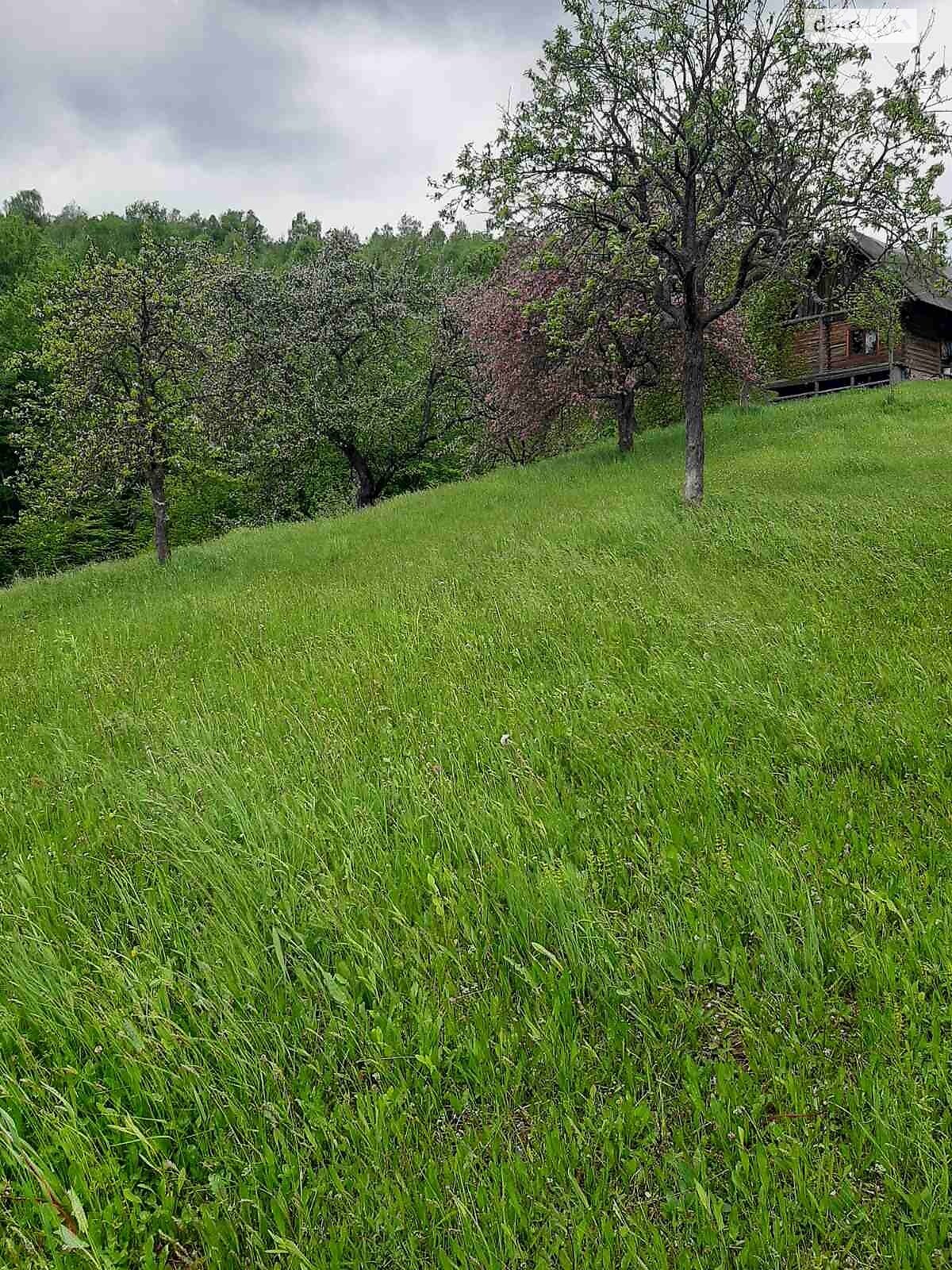 одноповерховий будинок з верандою, 60 кв. м, цегла саманна. Продаж у Вишці фото 1 одноповерховий будинок з верандою, 60 кв. м, цегла саманна. Продаж у Вишці фото 1