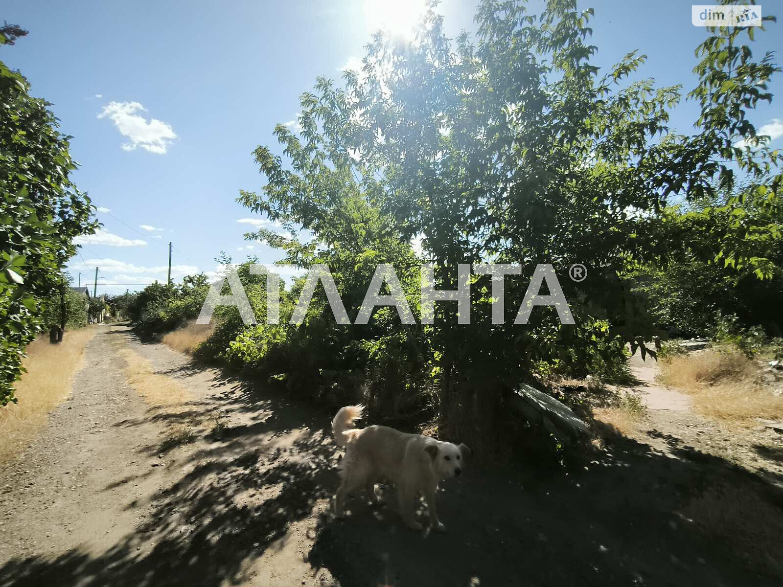 одноповерховий будинок, 88.9 кв. м, ракушечник (ракушняк). Продаж у Великому Дальнику фото 1 одноповерховий будинок, 88.9 кв. м, ракушечник (ракушняк). Продаж у Великому Дальнику фото 1