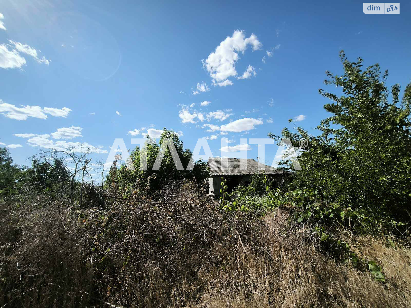 одноповерховий будинок, 88.9 кв. м, ракушечник (ракушняк). Продаж у Великому Дальнику фото 1 одноповерховий будинок, 88.9 кв. м, ракушечник (ракушняк). Продаж у Великому Дальнику фото 1