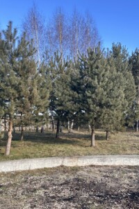 трехэтажный дом беседка, 750 кв. м, кирпич. Продажа в Великом Ходачкове фото 2