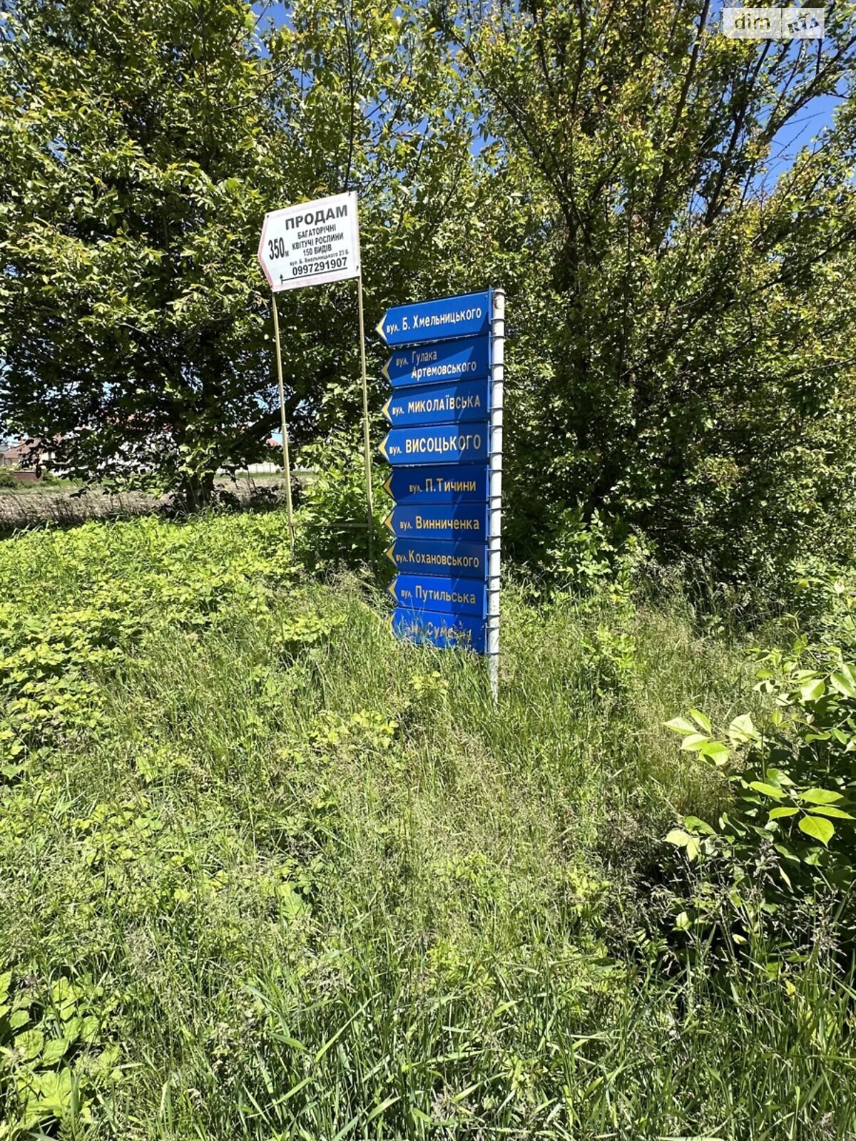 двоповерховий будинок, 265.1 кв. м, цегла. Продаж у Великому Кучурові фото 1 двоповерховий будинок, 265.1 кв. м, цегла. Продаж у Великому Кучурові фото 1