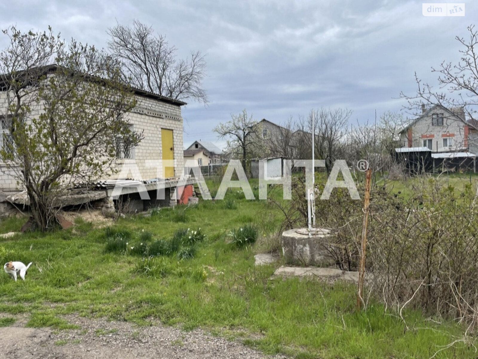 одноповерховий будинок, 50 кв. м, ракушечник (ракушняк). Продаж у Великодолинському фото 1 одноповерховий будинок, 50 кв. м, ракушечник (ракушняк). Продаж у Великодолинському фото 1