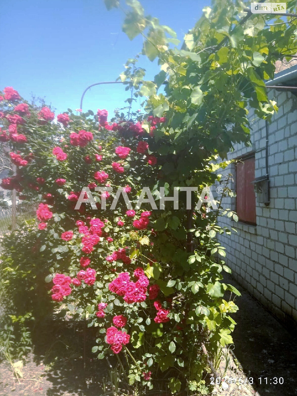 одноэтажный дом, 32 кв. м, кирпич. Продажа в Великодолинском фото 2 одноэтажный дом, 32 кв. м, кирпич. Продажа в Великодолинском фото 2