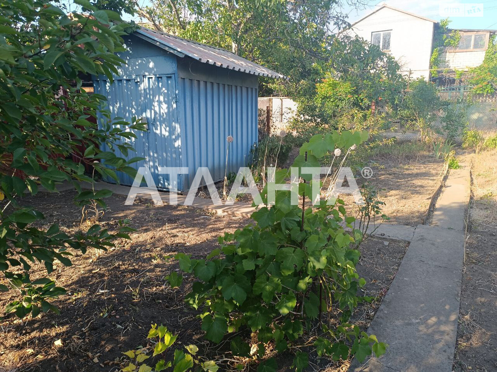 одноэтажный дом, 32 кв. м, кирпич. Продажа в Великодолинском фото 2 одноэтажный дом, 32 кв. м, кирпич. Продажа в Великодолинском фото 2