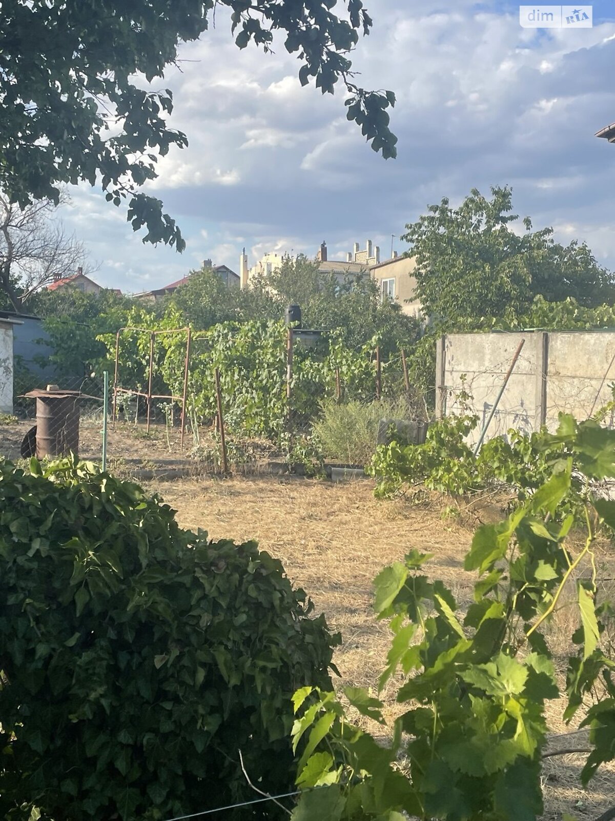 одноповерховий будинок, 40 кв. м, цегла. Продаж у Великодолинському фото 1 одноповерховий будинок, 40 кв. м, цегла. Продаж у Великодолинському фото 1