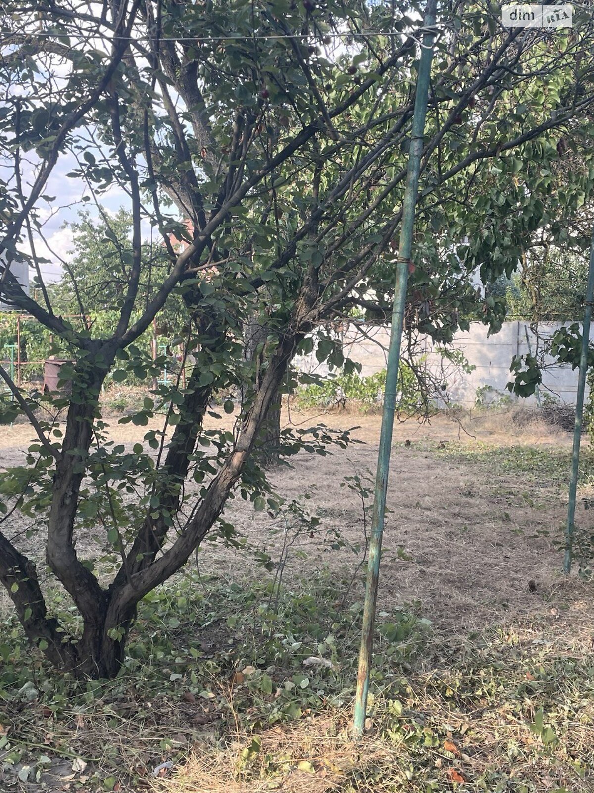 одноповерховий будинок, 40 кв. м, цегла. Продаж у Великодолинському фото 1 одноповерховий будинок, 40 кв. м, цегла. Продаж у Великодолинському фото 1