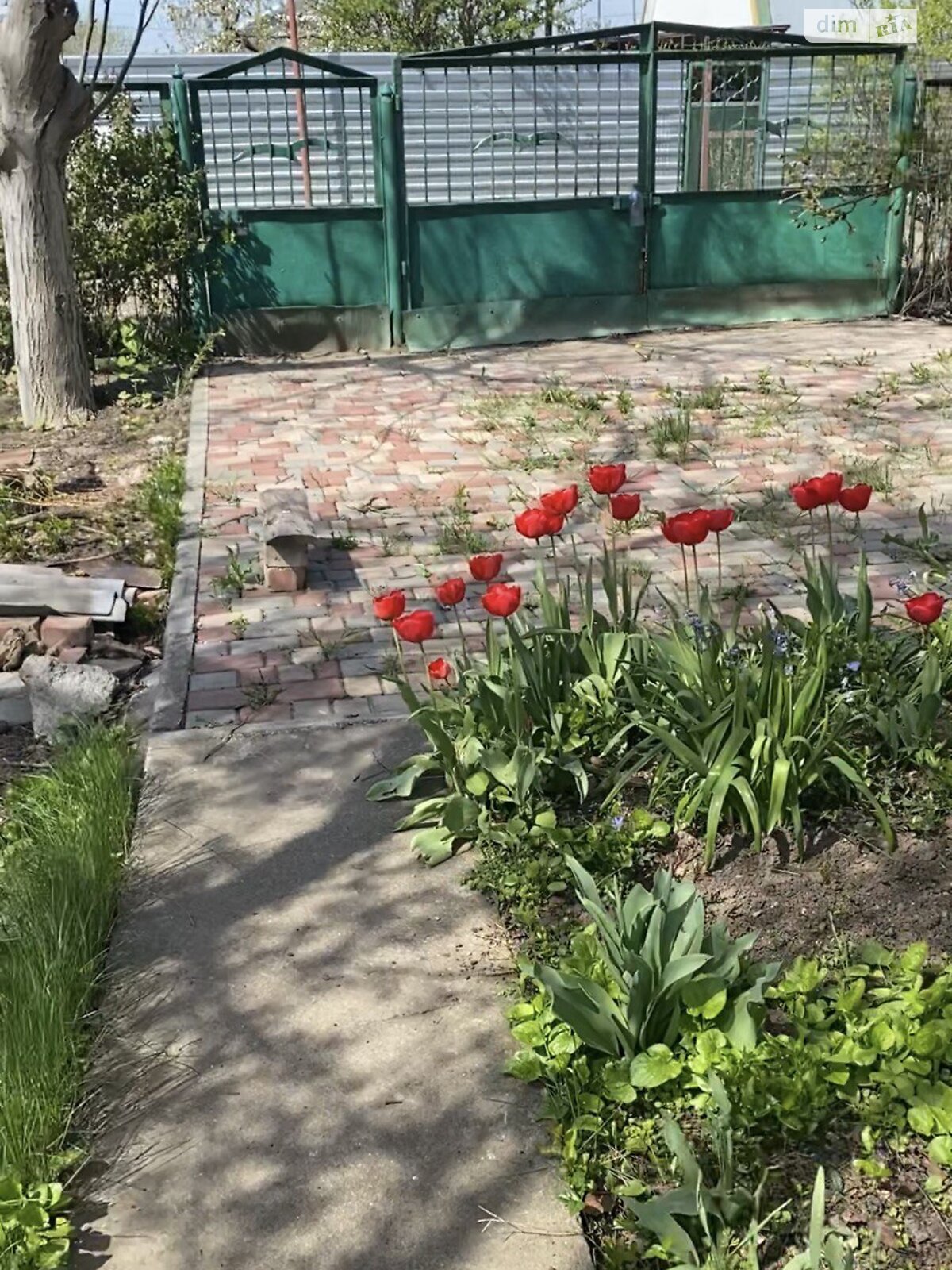 одноповерховий будинок, 40 кв. м, цегла. Продаж у Великодолинському фото 1 одноповерховий будинок, 40 кв. м, цегла. Продаж у Великодолинському фото 1