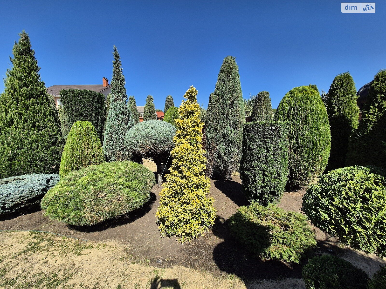 двоповерховий будинок з гаражем, 262.7 кв. м, ракушняк. Продаж у Великодолинському фото 1 двоповерховий будинок з гаражем, 262.7 кв. м, ракушняк. Продаж у Великодолинському фото 1