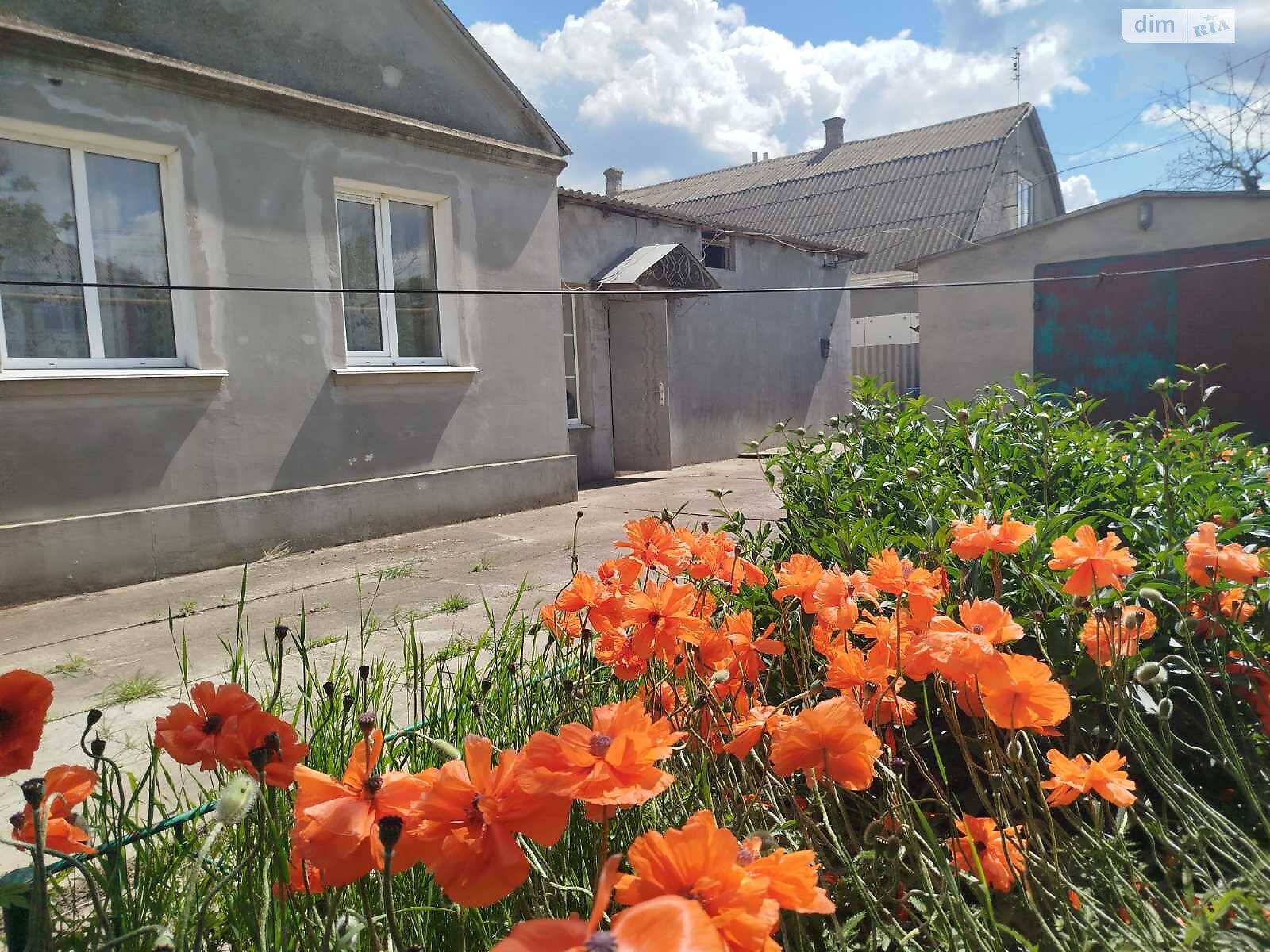 двоповерховий будинок з гаражем, 140 кв. м, кирпич. Продаж у Великодолинському фото 1 двоповерховий будинок з гаражем, 140 кв. м, кирпич. Продаж у Великодолинському фото 1
