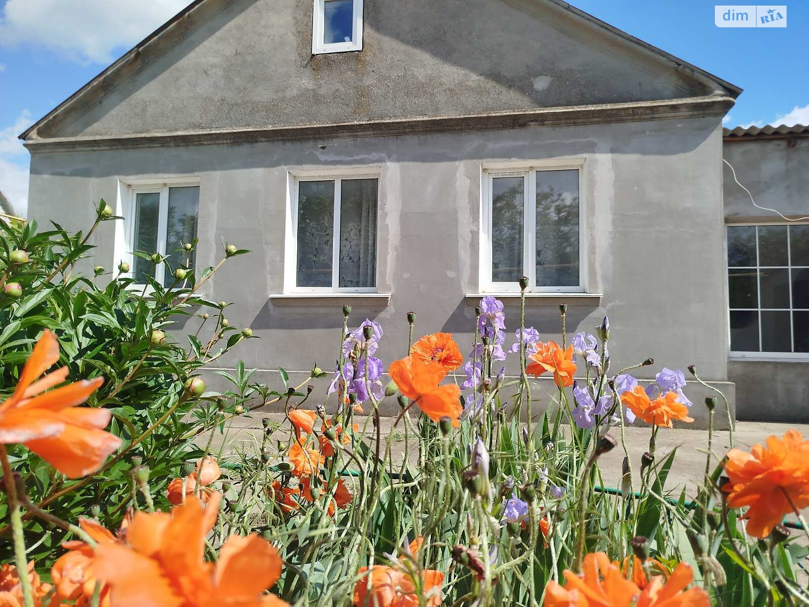 одноповерховий будинок з верандою, 160 кв. м, цегла. Продаж у Великодолинському фото 1 одноповерховий будинок з верандою, 160 кв. м, цегла. Продаж у Великодолинському фото 1
