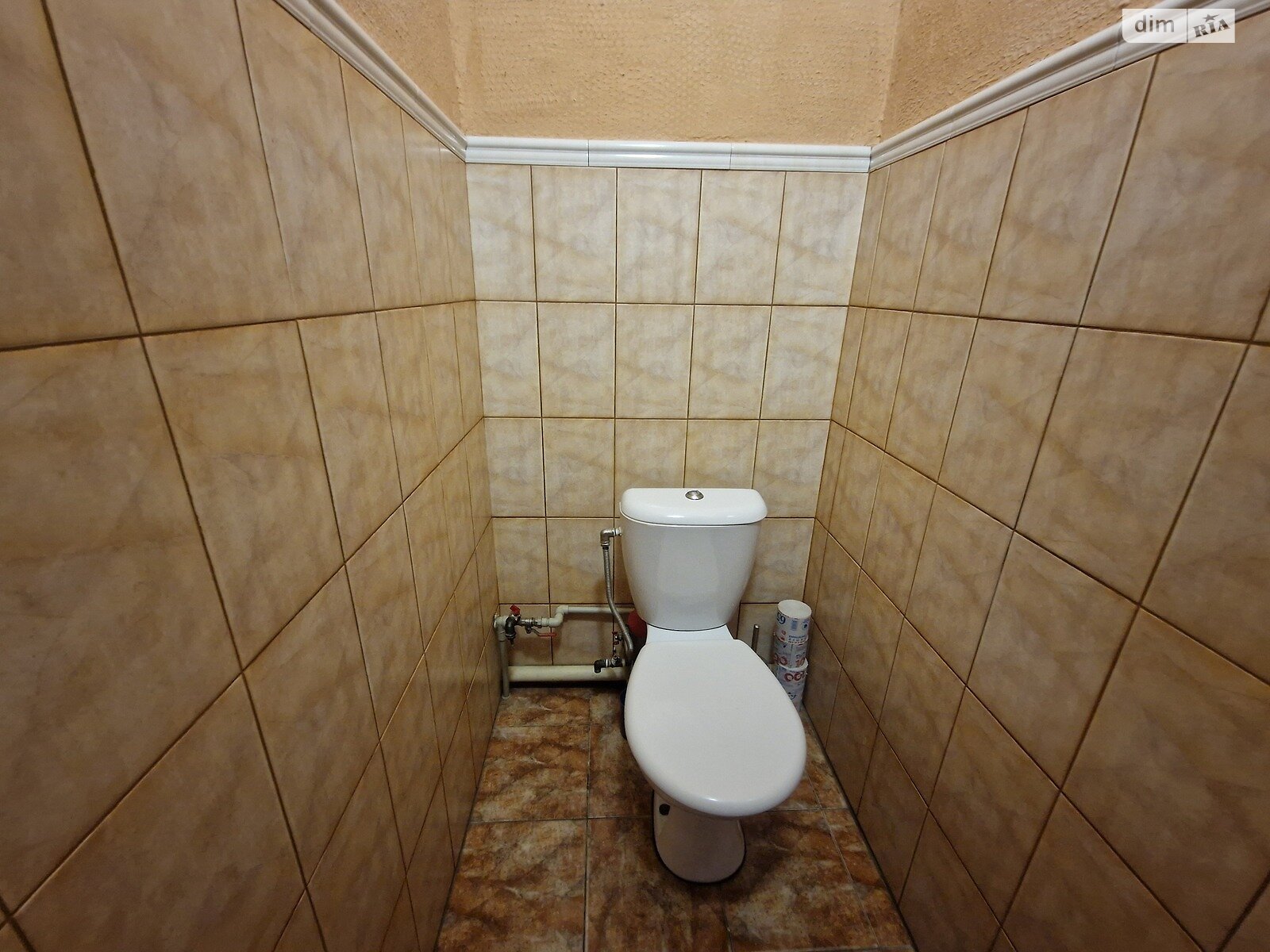 двоповерховий будинок з гаражем, 179.2 кв. м, цегла. Продаж у Великодолинському фото 1