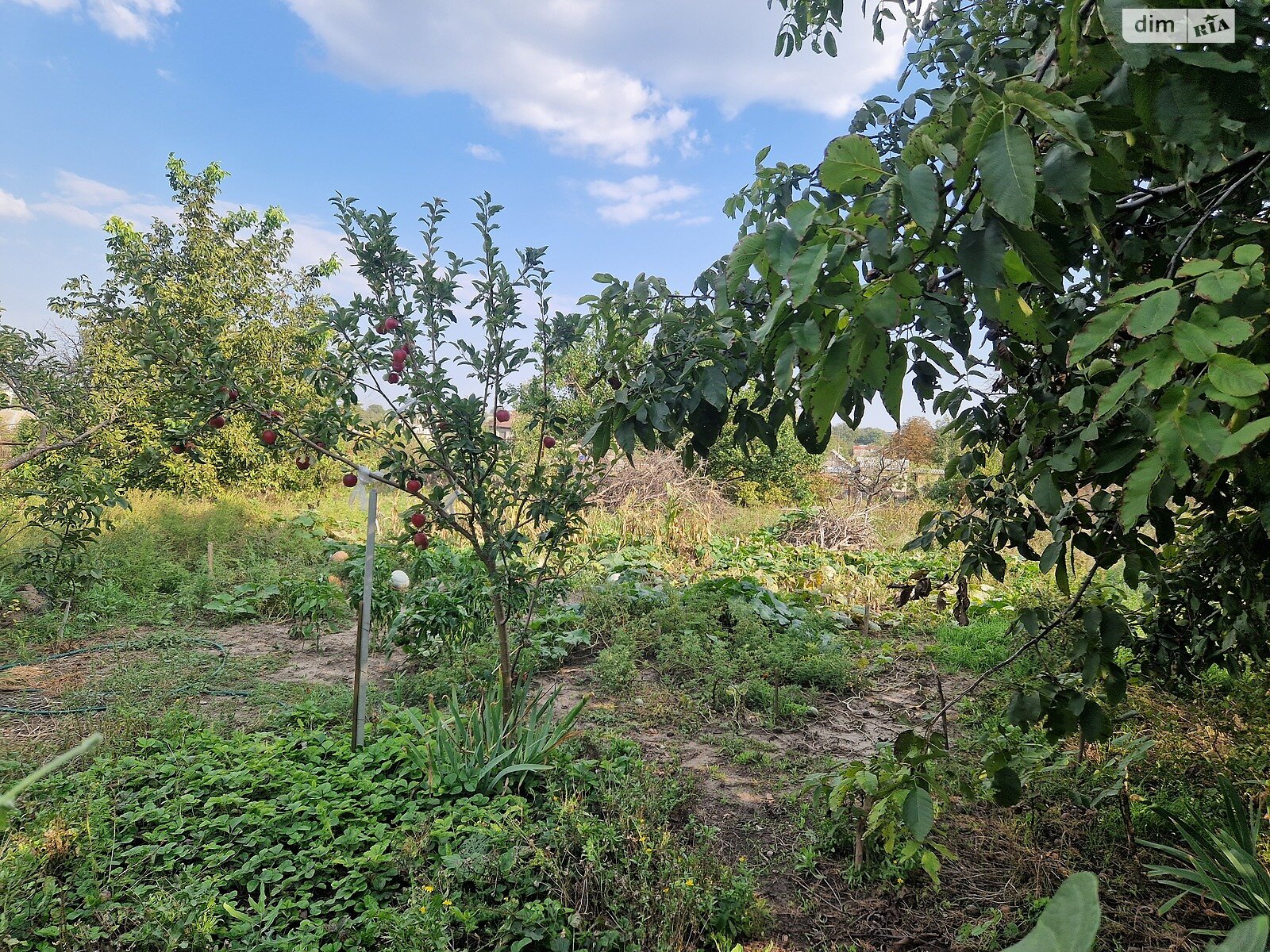 двоповерховий будинок з гаражем, 179.2 кв. м, цегла. Продаж у Великодолинському фото 1