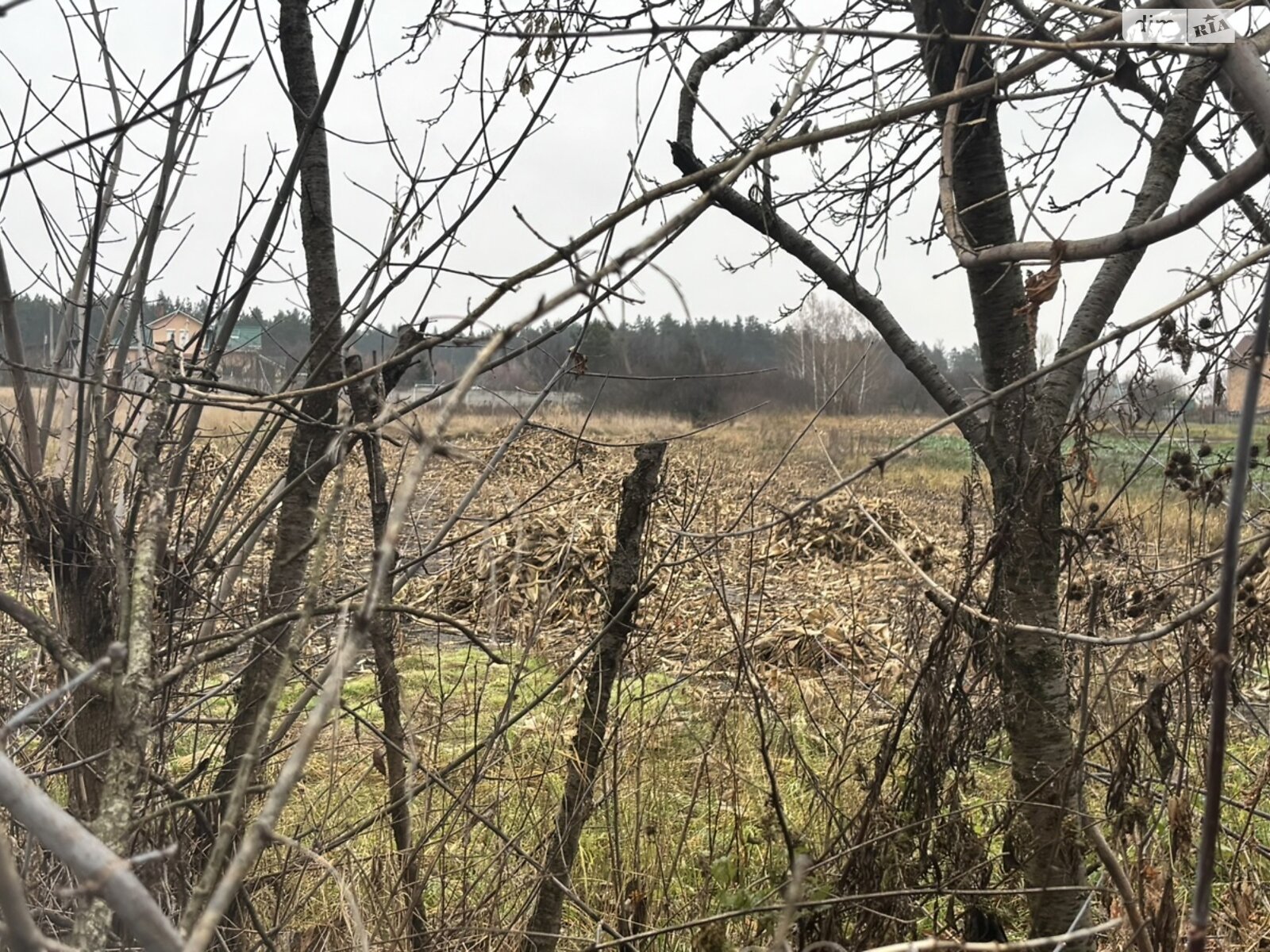 одноэтажный дом, 51.4 кв. м, брус. Продажа в Веприке фото 1 одноэтажный дом, 51.4 кв. м, брус. Продажа в Веприке фото 1