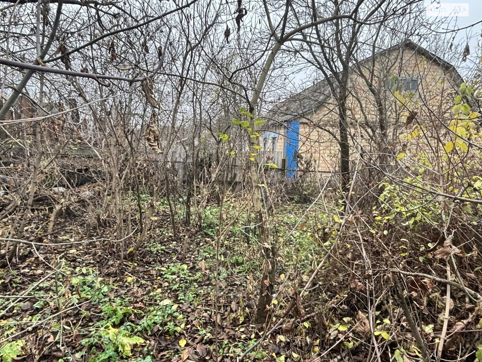 одноэтажный дом, 51.4 кв. м, брус. Продажа в Веприке фото 1 одноэтажный дом, 51.4 кв. м, брус. Продажа в Веприке фото 1