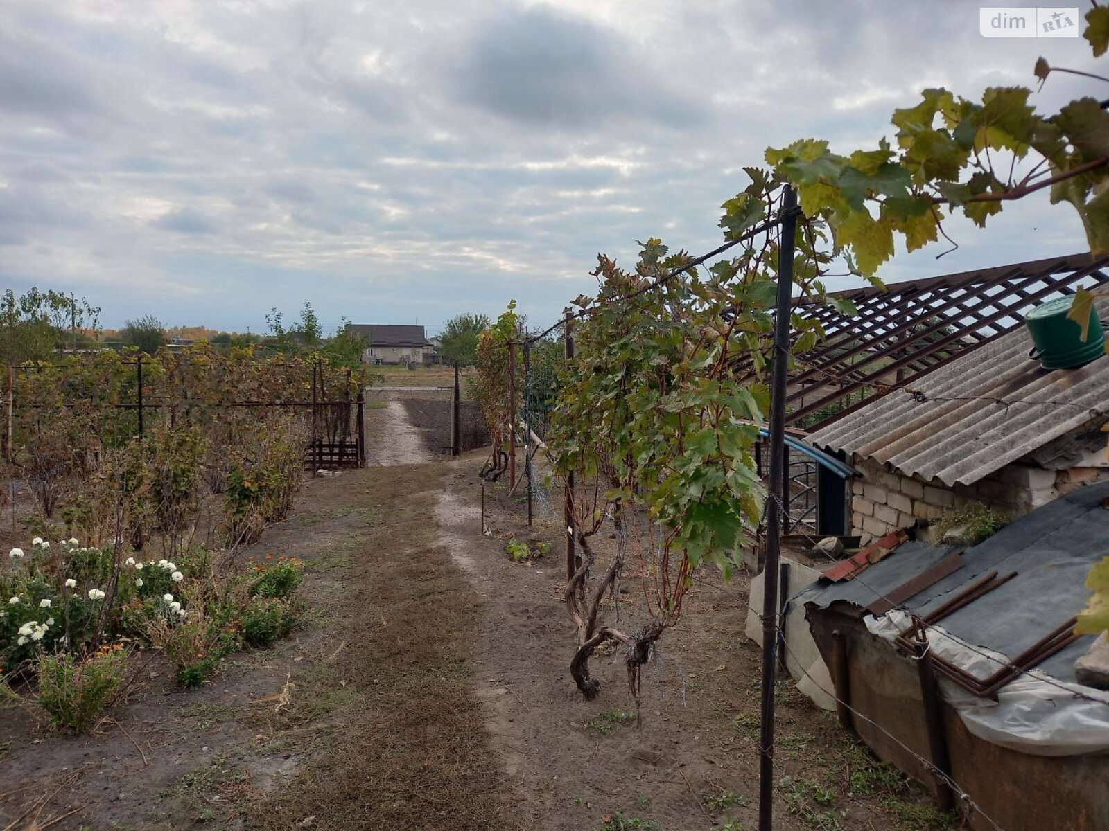 одноповерховий будинок з гаражем, 70 кв. м, цегла. Продаж у Вербці фото 1 одноповерховий будинок з гаражем, 70 кв. м, цегла. Продаж у Вербці фото 1