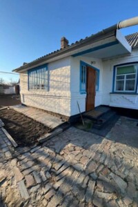 одноэтажный дом с гаражом, 70 кв. м, кирпич. Продажа в Вербовке фото 2