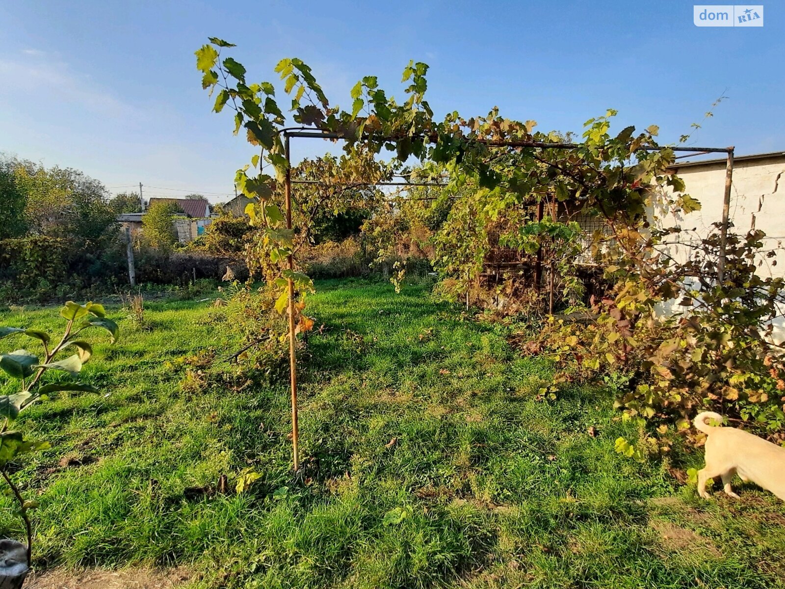 одноповерховий будинок веранда, 76 кв. м, цегла. Продаж в Верхньодніпровську, район Верхньодніпровськ фото 1