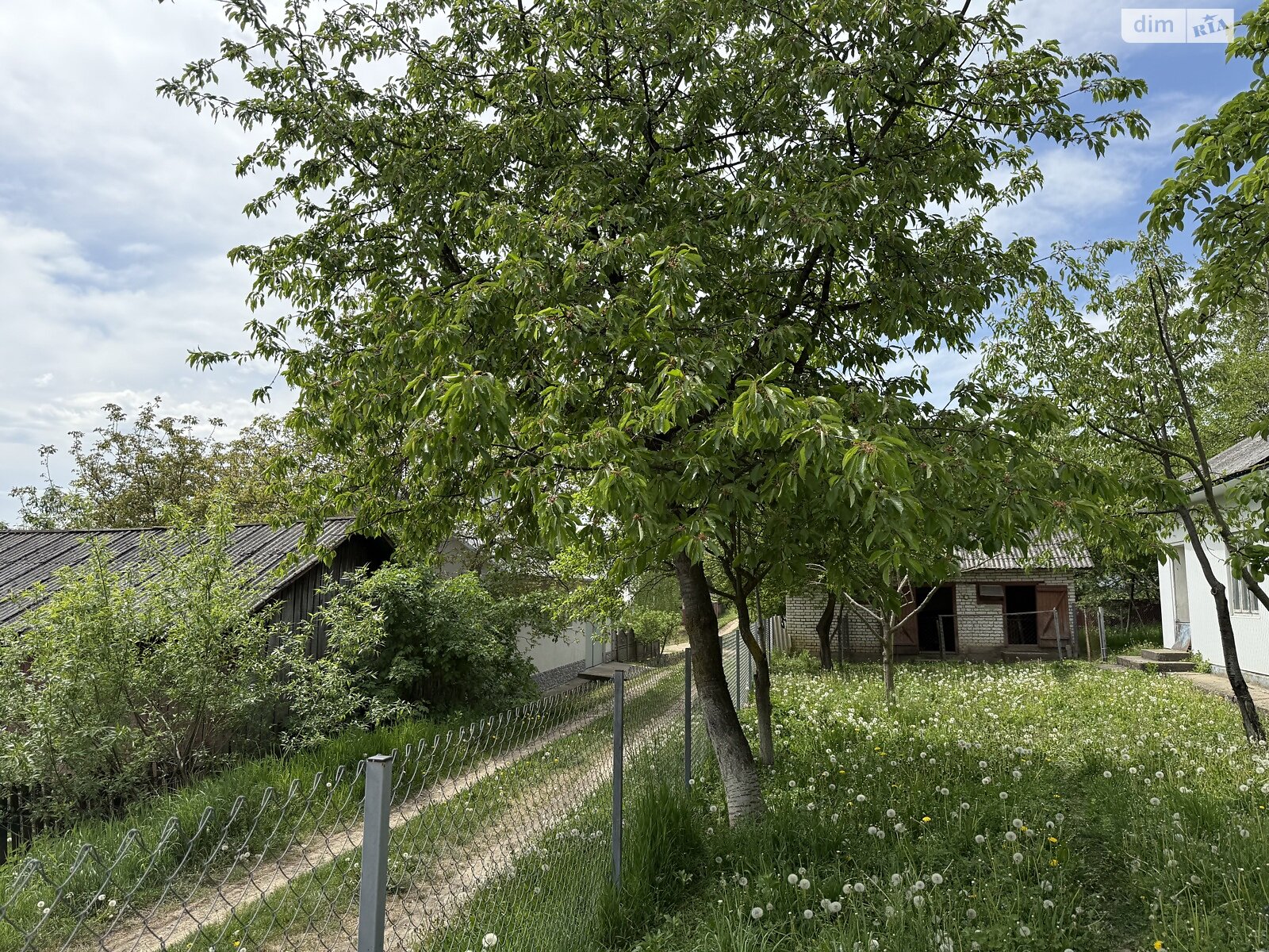 одноэтажный дом с гаражом, 75 кв. м, керамический блок. Продажа в Верхних Станивцах фото 1 одноэтажный дом с гаражом, 75 кв. м, керамический блок. Продажа в Верхних Станивцах фото 1